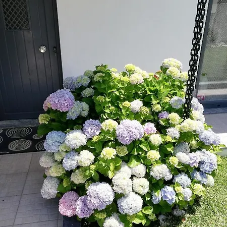 Moradia No Seixal Konukevi Ericeira
