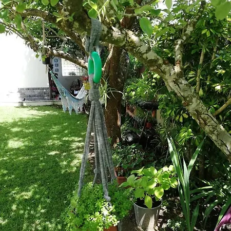 Guest house Moradia No Seixal